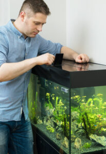 Fütterautomaten Aquarium