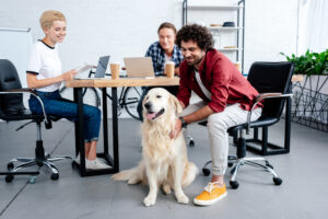 Hund Büro Arbeit