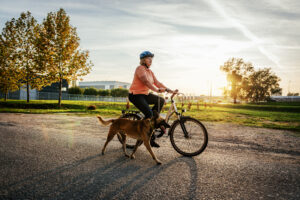 Radfahren mit Hund