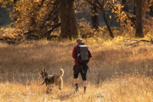 Wandern mit Hund